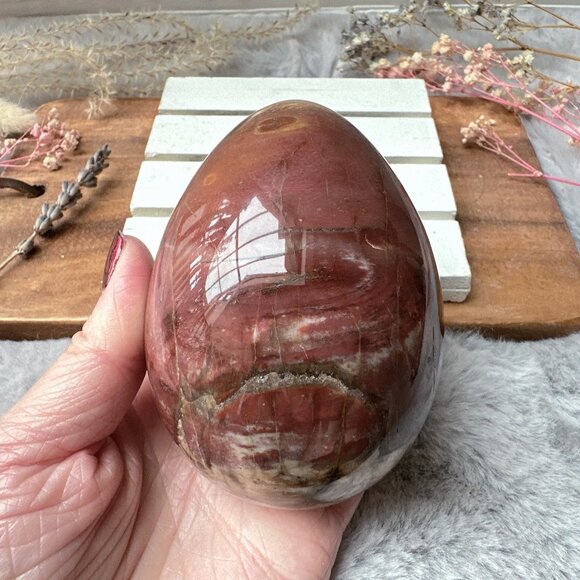 Gorgeous Large Petrified Wood Egg - Picture 7 of 9